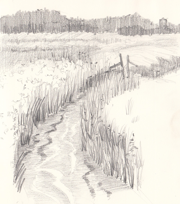 Inspiration from nature; Pulborough Brooks - Amanda Patton