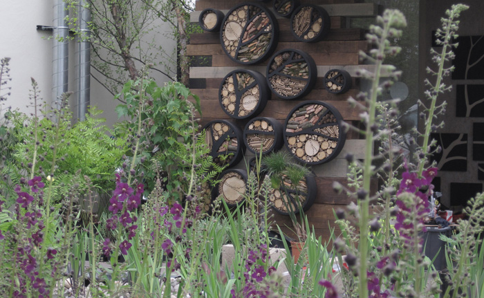 Sussex-garden-designer-Chelsea-Flower-Show-2013-4