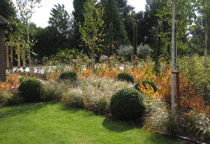 leading-Sussex-garden-designer 2