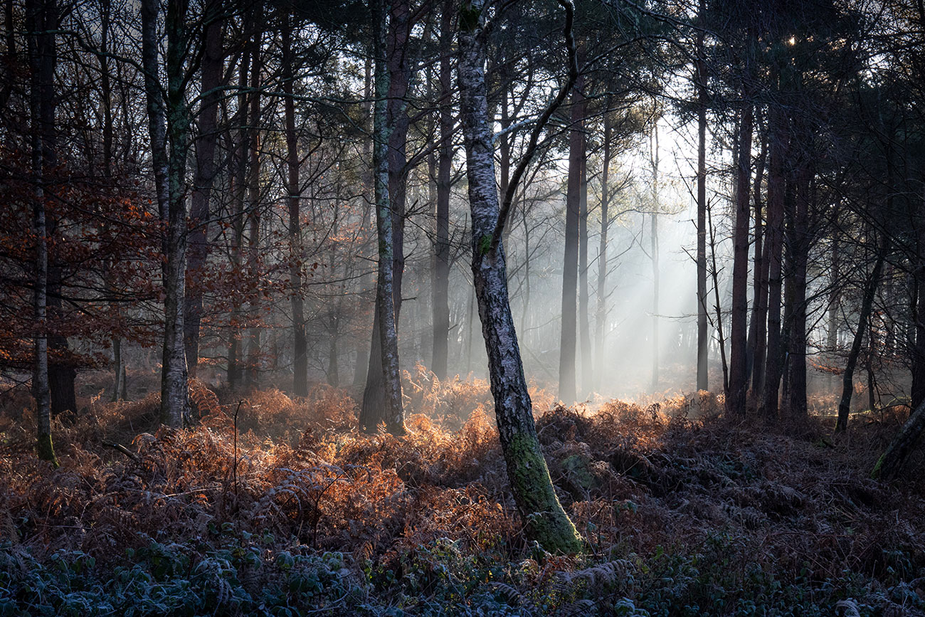 Landscape Photographer of the Year - Amanda Patton